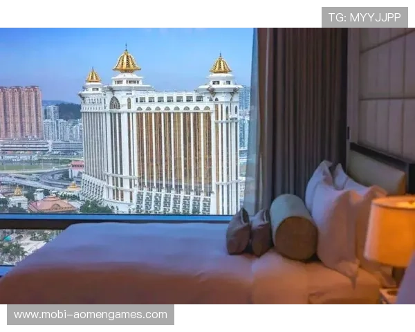 澳门银河华都娱乐场举办丰富多彩的娱乐活动，满足不同年龄层的喜好