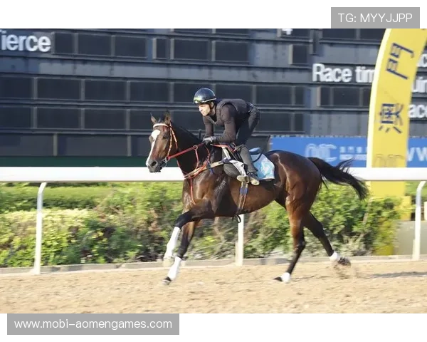 澳门赛马会如何结合现代科技提升赛事管理和观众体验的创新策略