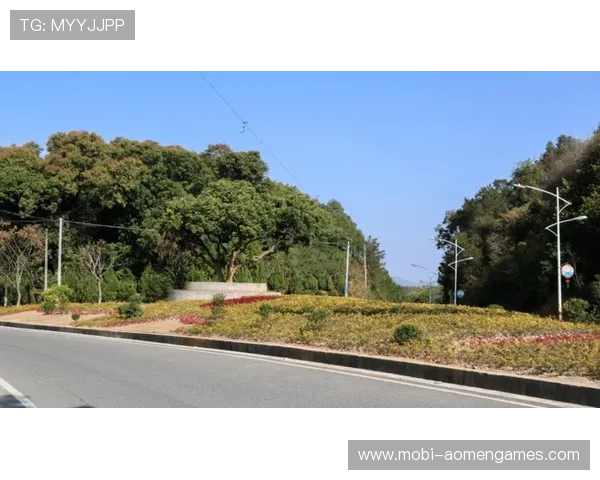 香港凯旋豪门:绿色生态环境环绕,营造健康宜居的理想生活环境 香港凯旋豪门:绿色生态环境环绕,营造健康宜居的理想生活环境