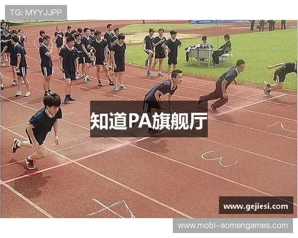 掌握pa视讯首页登录技巧，帮助新手快速安全完成登录流程详细攻略