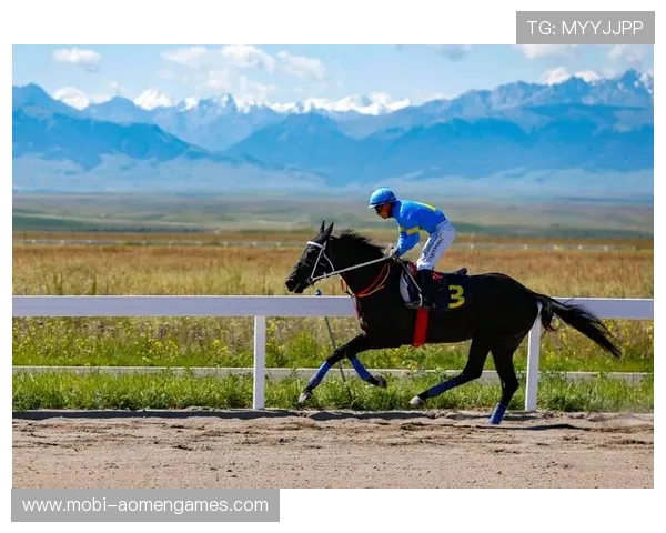 深入分析澳门赛马玩法中的特色项目和比赛规则助你成为赛马行家